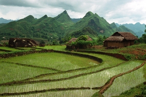 Khuyến khích các doanh nghiệp sản xuất, đầu tư phát triển hạ tầng vùng dân di cư tự do