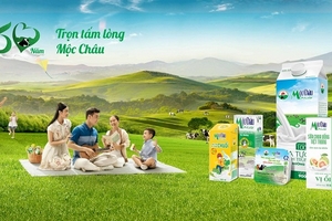 Con đường trở thành 'chuyên gia bò sữa' của Mộc Châu Milk