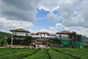 Sơn La: Mộc Châu phát triển nông nghiệp gắn với dịch vụ - du lịch