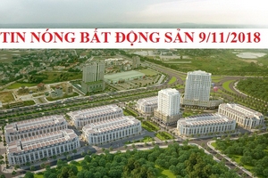 Tin nóng Bất động sản 9/11: Phó Tổng Giám đốc Cienco 6 tự tử có liên quan sai phạm về đất đai