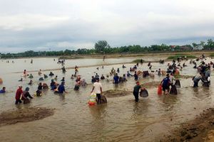 Hà Tĩnh: Hấp dẫn hội thi bắt cá tại hồ Đập Lổ