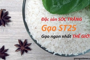 Đỏ mắt tìm nông sản ngon nhất Việt Nam trên...đất Việt