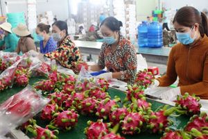Trung Quốc nhập khẩu nông lâm thủy sản đứng thứ 2 của Việt Nam