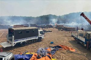 Bình Phước: Cháy khu vực chứa gỗ trong khuôn viên Chi cục Hải quan