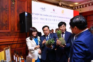 Thành phố Nonsan (Hàn Quốc) ký kết thỏa thuận hợp tác với Tập đoàn MHGroup