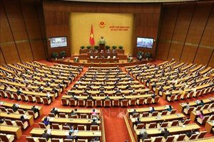Quốc hội tiếp tục thảo luận về kinh tế-xã hội và ngân sách nhà nước