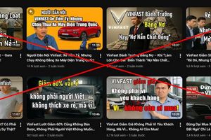 Phó Chủ tịch kiêm TGĐ Vingroup: 'Đấu tranh tới cùng với tin giả vì trách nhiệm xã hội'