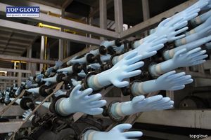 Mỹ cấm nhập sản phẩm của tập đoàn găng tay lớn nhất thế giới