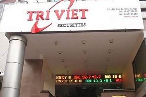 Chứng khoán Trí Việt chuẩn bị phát hành hơn 5 triệu cổ phiếu ESOP