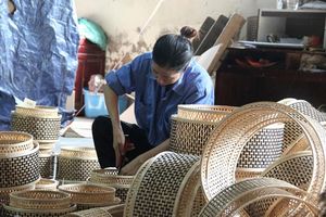 Nghệ An khẳng định vị thế top đầu cả nước về sản phẩm OCOP đạt chuẩn sao