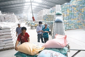 Việt Nam trúng thầu xuất khẩu hơn 100.000 tấn gạo sang Philippines
