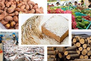 Bản tin nông sản 23/6: Nhiều thị trường mới cho nông sản Việt