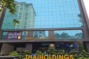 Thaiholdings báo lãi gần 368 tỷ đồng nhờ hoạt động kinh doanh khác
