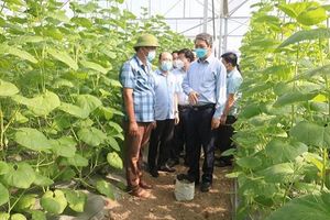Thanh Hóa: Nỗ lực thu hút vốn đầu tư nông nghiệp