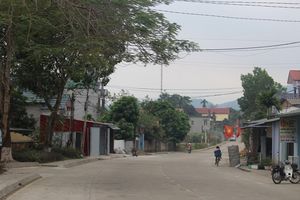 Phú Thọ: Bức tranh phát triển kinh tế xã hội ở Yên Lương