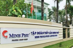 Thủy sản Minh Phú (MPC) chia cổ tức tiền mặt tỷ lệ 23%, thưởng cổ phiếu tỷ lệ 1:1