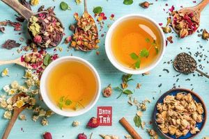 6 nguyên tắc uống trà để bảo vệ dạ dày
