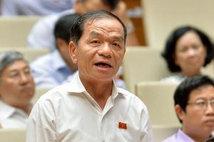 ĐBQH Lê Thanh Vân: Nếu vụ việc tại số 2 Trần Não, TP.HCM tiếp tục kéo dài sẽ gây tổn hại cho người dân, uy tín của bộ máy hành chính