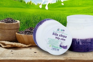 Sữa chua nếp cẩm – Đặc sản giàu dinh dưỡng miền Tây Bắc