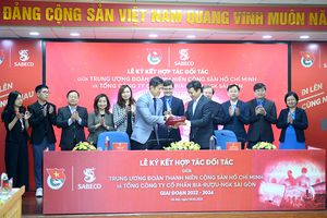 Hỗ trợ tài năng trẻ, thúc đẩy văn hóa, thể thao, du lịch và bền vững tại Việt Nam