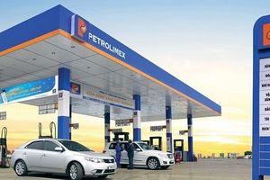 Petrolimex lên kế hoạch lãi 2.900 tỷ trong năm 2024