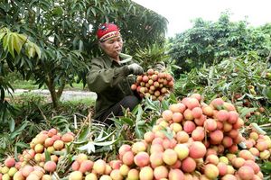 Đưa nông sản, thực phẩm Việt tiến sâu vào thị trường Trung Quốc