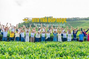 Festival Trà Quốc tế - Thái Nguyên 2026: Tôn vinh di sản, khẳng định vị thế “Đệ nhất danh trà”