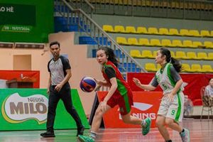 Cha mẹ Việt và hành trình nuôi dưỡng “công dân toàn cầu”