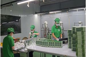 Thanh Hóa: Đa dạng hóa sản phẩm OCOP – Hướng đi bền vững cho kinh tế miền núi