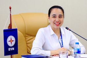 Nữ CEO duy nhất của ngành điện Việt Nam