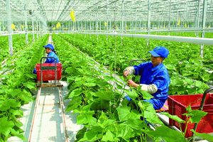Tăng cường năng lực cạnh tranh cho doanh nghiệp nông nghiệp Việt Nam