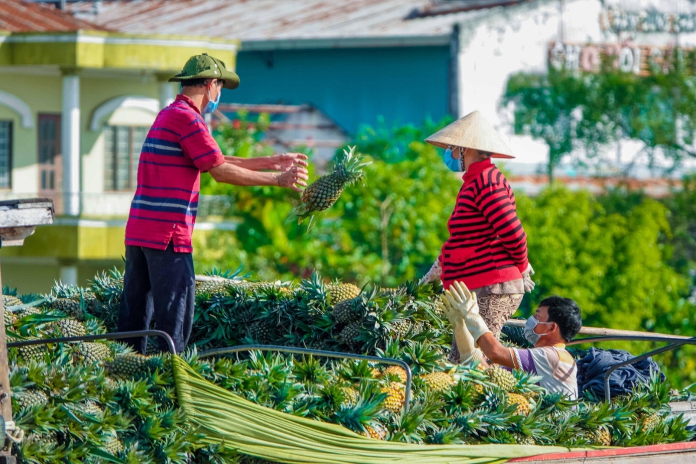 Vì sao nông sản vùng ĐBSCL phải phụ thuộc vào TP.HCM để xuất khẩu? - Ảnh 2