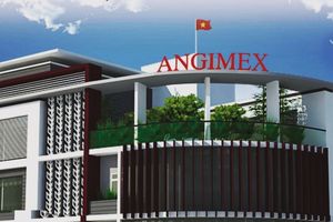 Angimex thành lập 2 công ty với tổng vốn điều lệ 70 tỷ đồng
