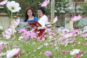 Thành Vinh, Nghệ An rực rỡ sắc xuân, bừng sáng từng góc phố