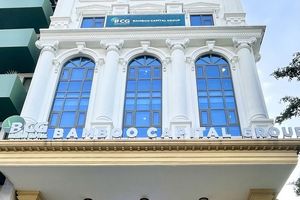 Bamboo Capital (BCG) điều chỉnh phương án sử dụng vốn thu từ chào bán 266,7 triệu cổ phiếu