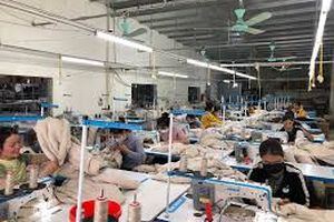 Nghệ An bứt phá xuất khẩu giữa “bão” thương mại toàn cầu