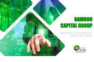 Bamboo Capital thành công chào bán hơn 148 triệu cổ phiếu