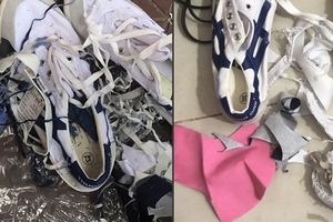 Công ty giày Thượng Đình nhét phế thải vào sản phẩm?