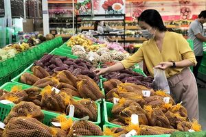 Nông sản Trung Quốc tràn ngập thị trường Việt Nam, áp lực cạnh tranh ngày càng lớn