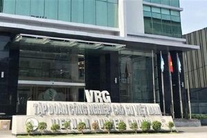 Tập đoàn Cao su Việt Nam (GVR) sắp trả cổ tức hơn 1.600 tỷ đồng