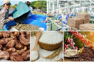 Nông sản Việt Nam: Nguy cơ siết chặt kiểm soát tại thị trường EU và giải pháp nâng tầm