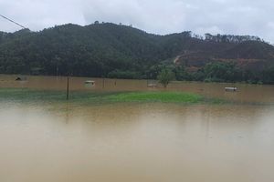 Hà Tĩnh: Bão số 10 "cuốn bay" gần 85.000 ngôi nhà