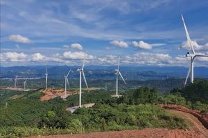 Quảng Trị: Thu hút thêm hai dự án điện gió trị giá hơn 3.000 tỷ đồng