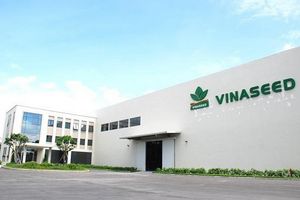 Tập đoàn Giống cây trồng Việt Nam (NSC) điều chỉnh kế hoạch doanh thu năm 2022 còn 2.000 tỷ đồng