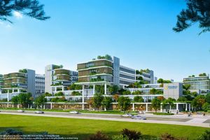 Sống giữa thiên nhiên triệu năm tuổi, kết nối thủ phủ tài chính quốc tế: Vinhomes Green Paradise chinh phục giới tinh hoa toàn cầu