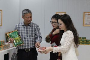 Từ đam mê đất rừng đến mô hình nông nghiệp xanh nơi “núi cao thuốc quý”