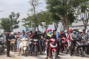 Nhiều người đến check in, cánh đồng hoa hướng dương Sài Gòn "thất thủ" dịp Tết Dương lịch