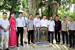 Hà Tĩnh:  Hai cây trầm hương được công nhận là Cây Di sản Việt Nam