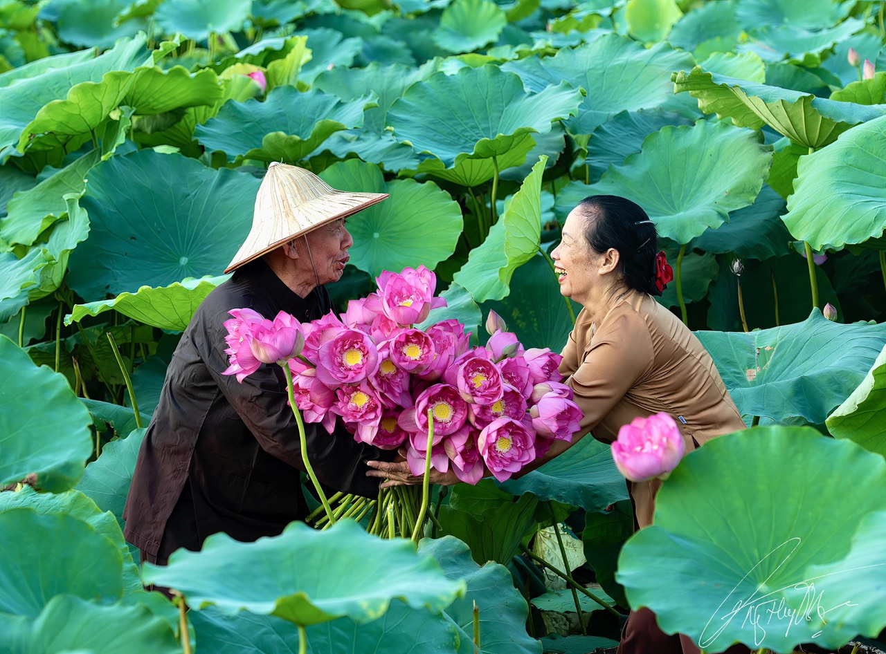 Không có mô tả ảnh.