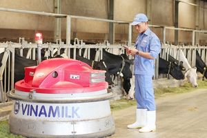 Thế hệ trẻ và những lý do khao khát "đầu quân" cho một công ty sữa Việt